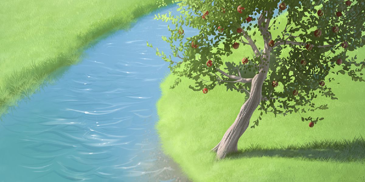 Un árbol con fruto plantado junto a un río