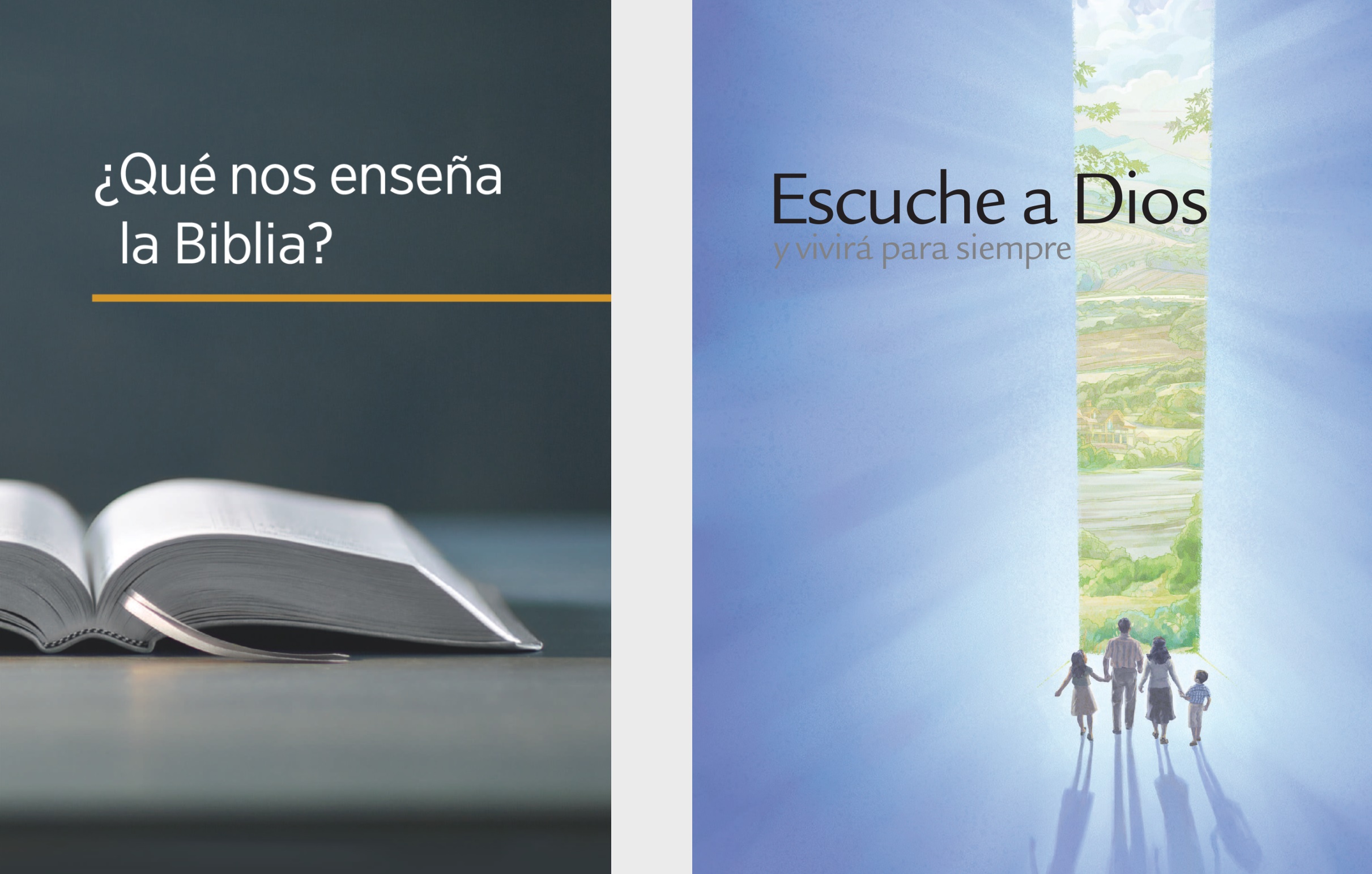 El libro ¿Qué nos enseña la Biblia? y el folleto Buenas noticias de parte de Dios