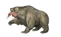 El oso que representa a Medopersia