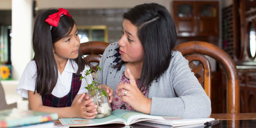 Una hermana le enseña sobre Jehová a su hija mientras miran juntas una plantita