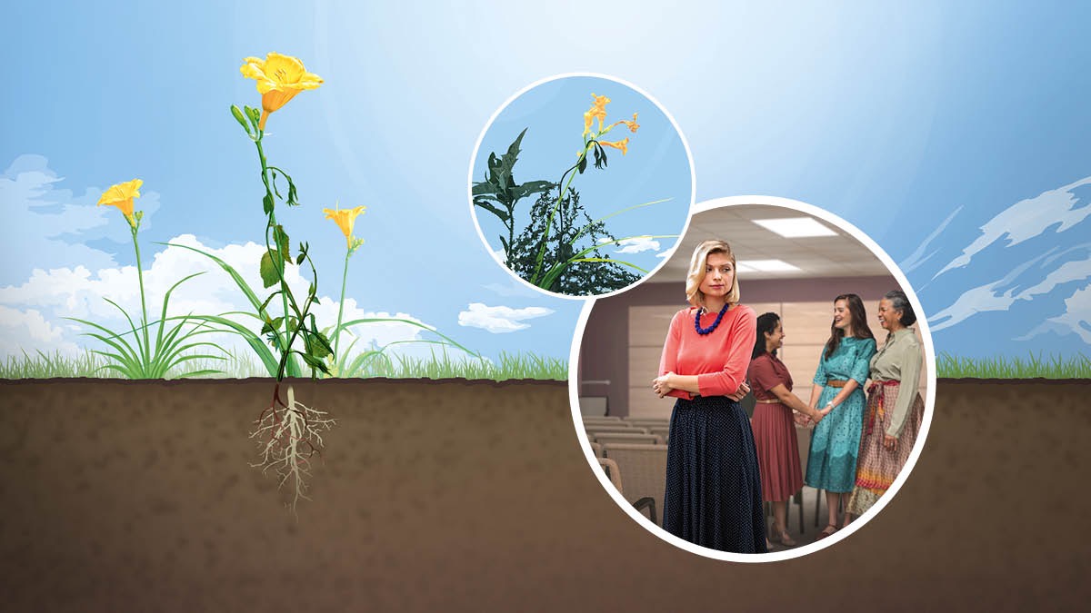 Serie de imágenes: 1. Una hermosa flor silvestre arraigada en una tierra buena. 2. Una planta venenosa ahoga la flor. 3. Tres hermanas hablando animadamente en el Salón del Reino mientras otra está apartada y parece molesta.