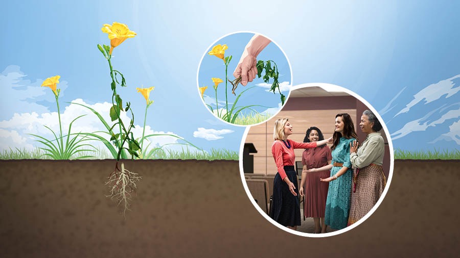 Serie de imágenes: 1. Una hermosa flor silvestre arraigada en una tierra buena. 2. Alguien arranca una planta venenosa que ha crecido junto a la flor. 3. Cuatro hermanas hablando animadamente en el Salón del Reino.