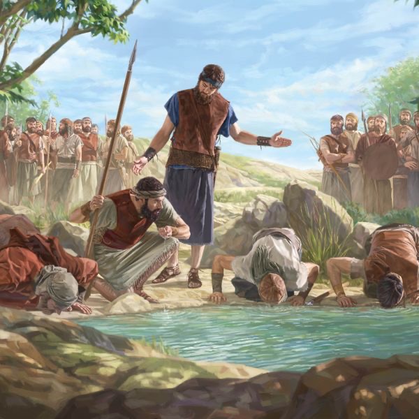 La Atalaya (edición de estudio), junio de 2023.
