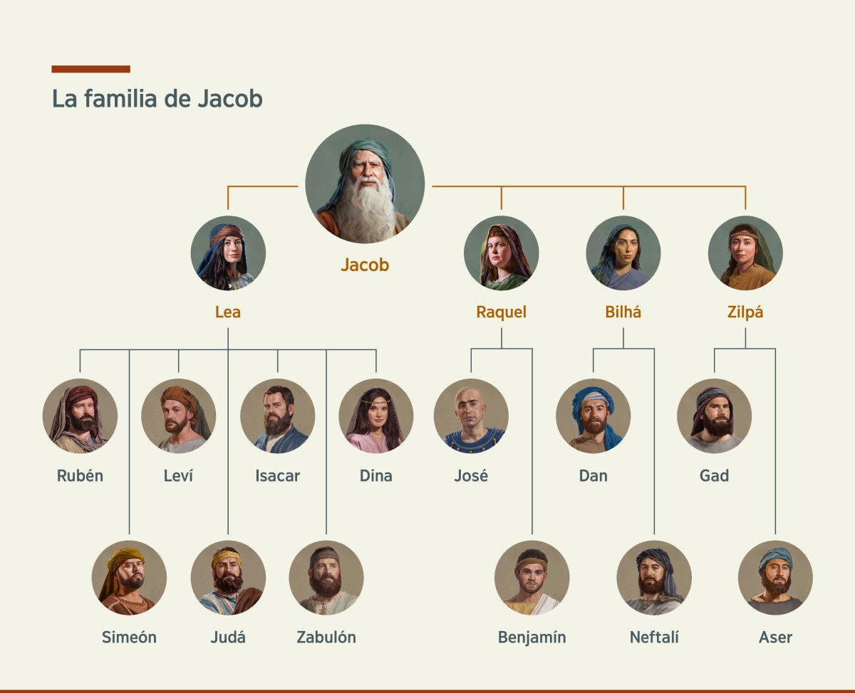 Gráfico con el árbol familiar de Jacob, que tuvo dos esposas —Lea y Raquel⁠— y dos concubinas —Bilhá y Zilpá⁠—. Con Lea tuvo a Rubén, Simeón, Leví, Judá, Isacar, Zabulón y Dina; con Raquel tuvo a José y Benjamín, con Bilhá tuvo a Dan y Neftalí, y con Zilpá tuvo a Gad y Aser.