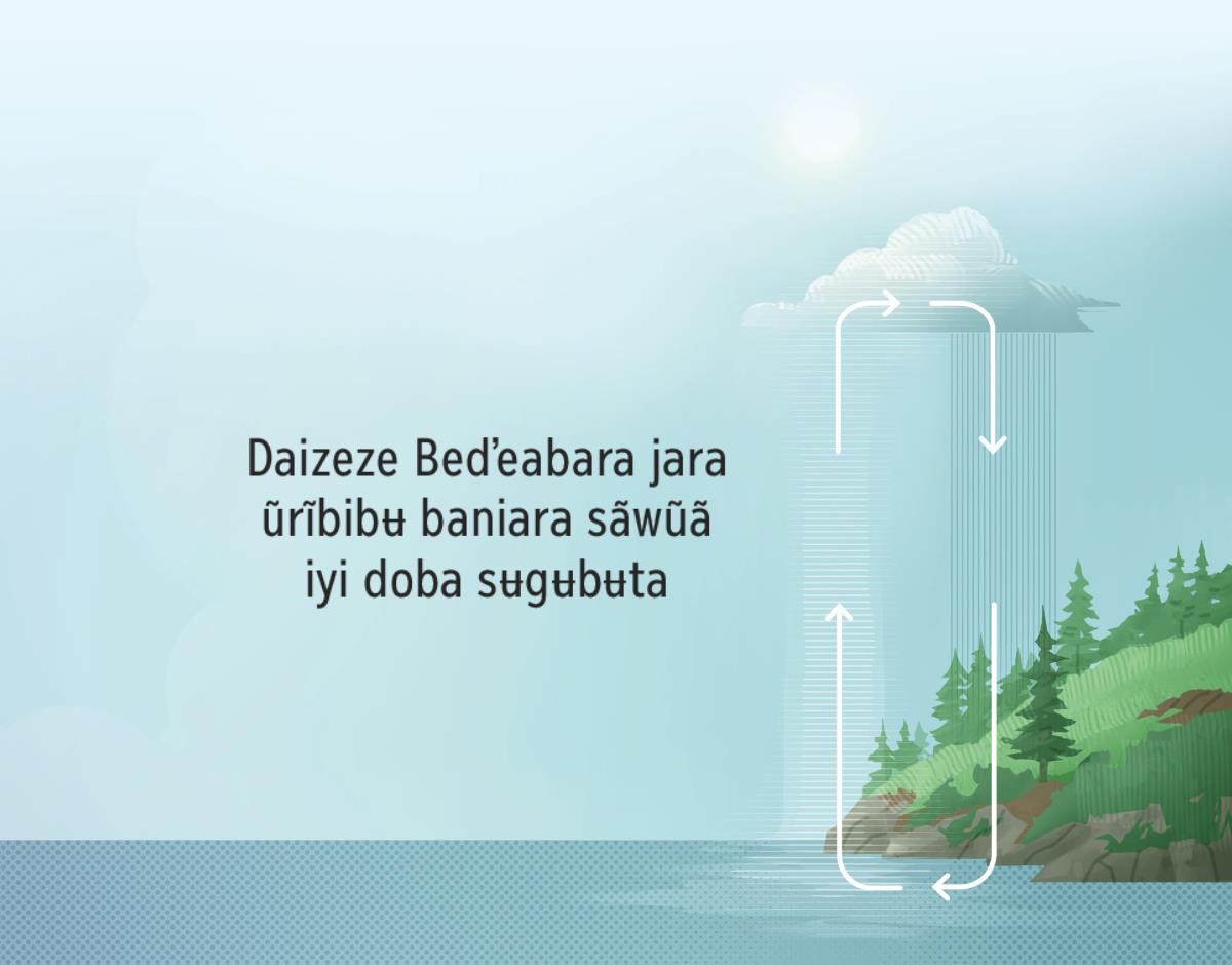 Daizeze Bedʼeabara jara ũrĩbibʉ baniara sãwũã neneẽãbʉta iyi doba. Yi erubʉba ũdubibʉ sãwũã baniara jãrãra ʉ̃ta wãpe egoro eda kuede zebʉta.
