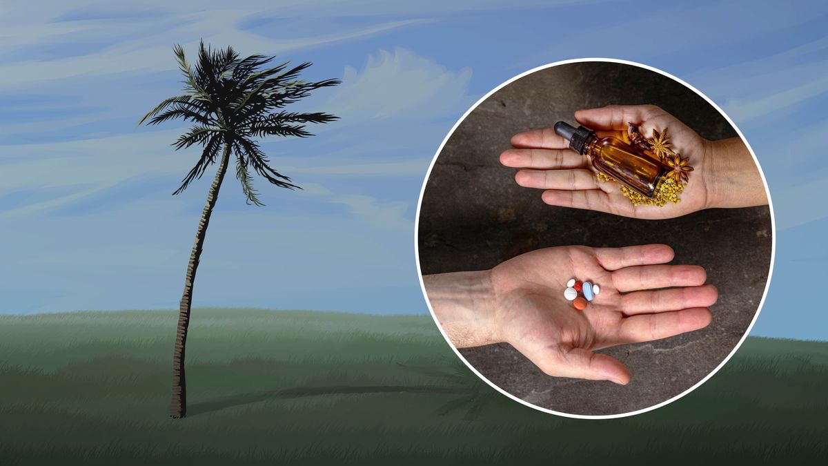 Bakuru susuabʉra nãgu zroma zebʉrʉde kʼaidu susuabʉ. Potoba ũdubibʉ juwade erpanʉta remedio kĩrã awuara awuaraka panʉta.