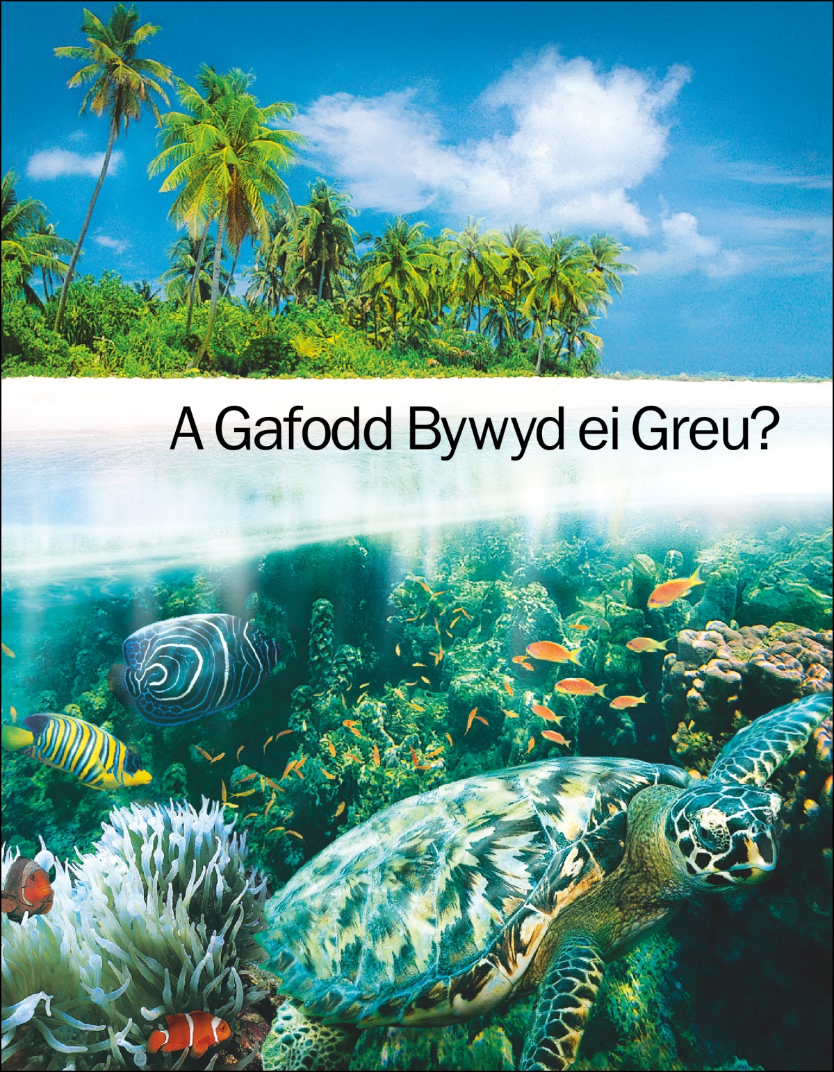 Y llyfryn “A Gafodd Bywyd ei Greu?”