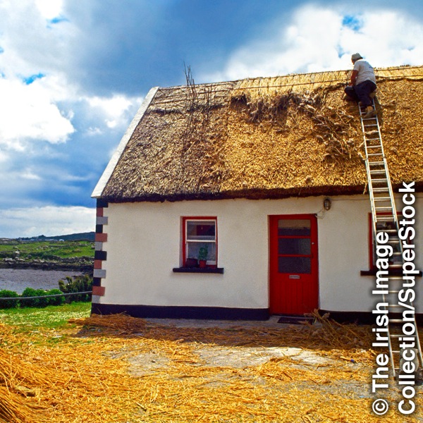 Ein Cottage mit Reetdach