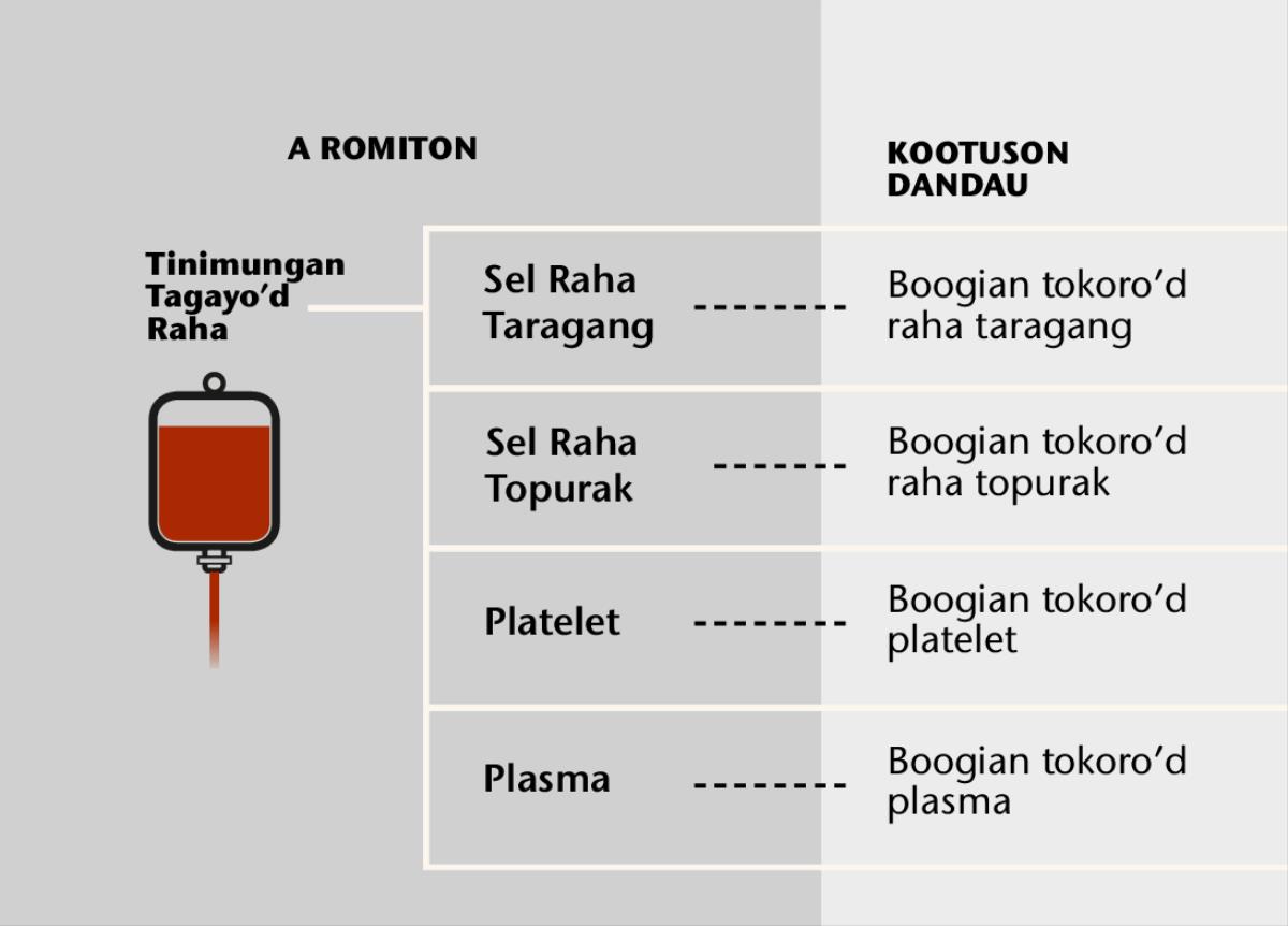 Raha, apat ot tinimungan tagayo’d raha, om boogian tokoro’d raha
