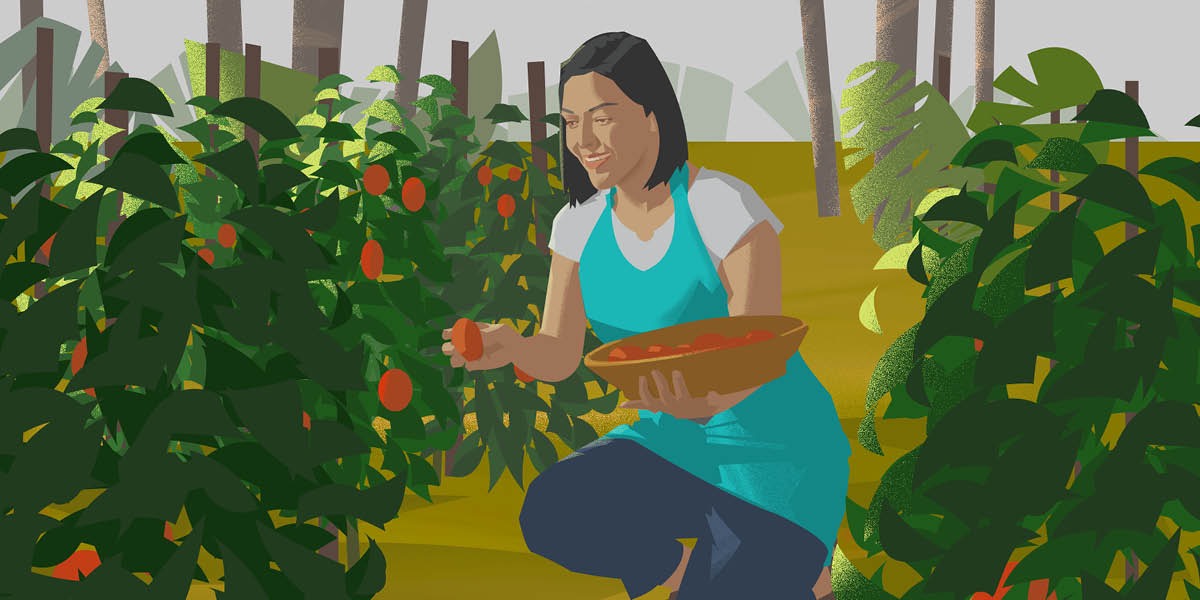 Una mujer recogiendo fruta
