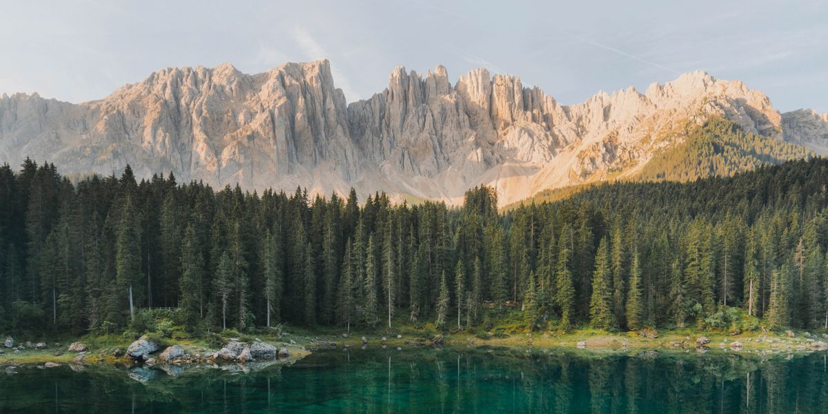 Un lago rodeado de un bosque y montañas.