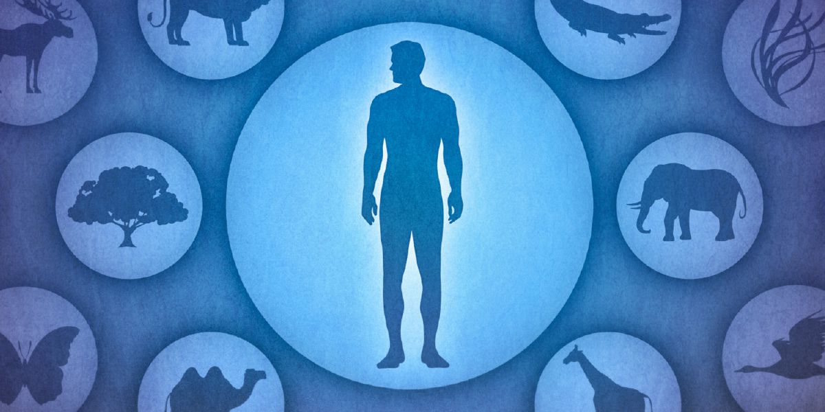 Un ser humano rodeado de diferentes seres vivos: animales, insectos, aves y plantas.
