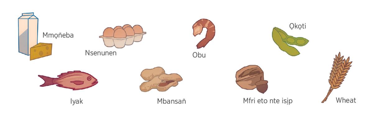 Mmọn̄eba, nsenunen, obu, ọkọti, iyak, mbansan̄, mfri eto nte isịp, ye wheat