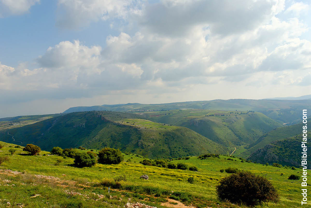 [Εικόνα στη σελίδα 331]