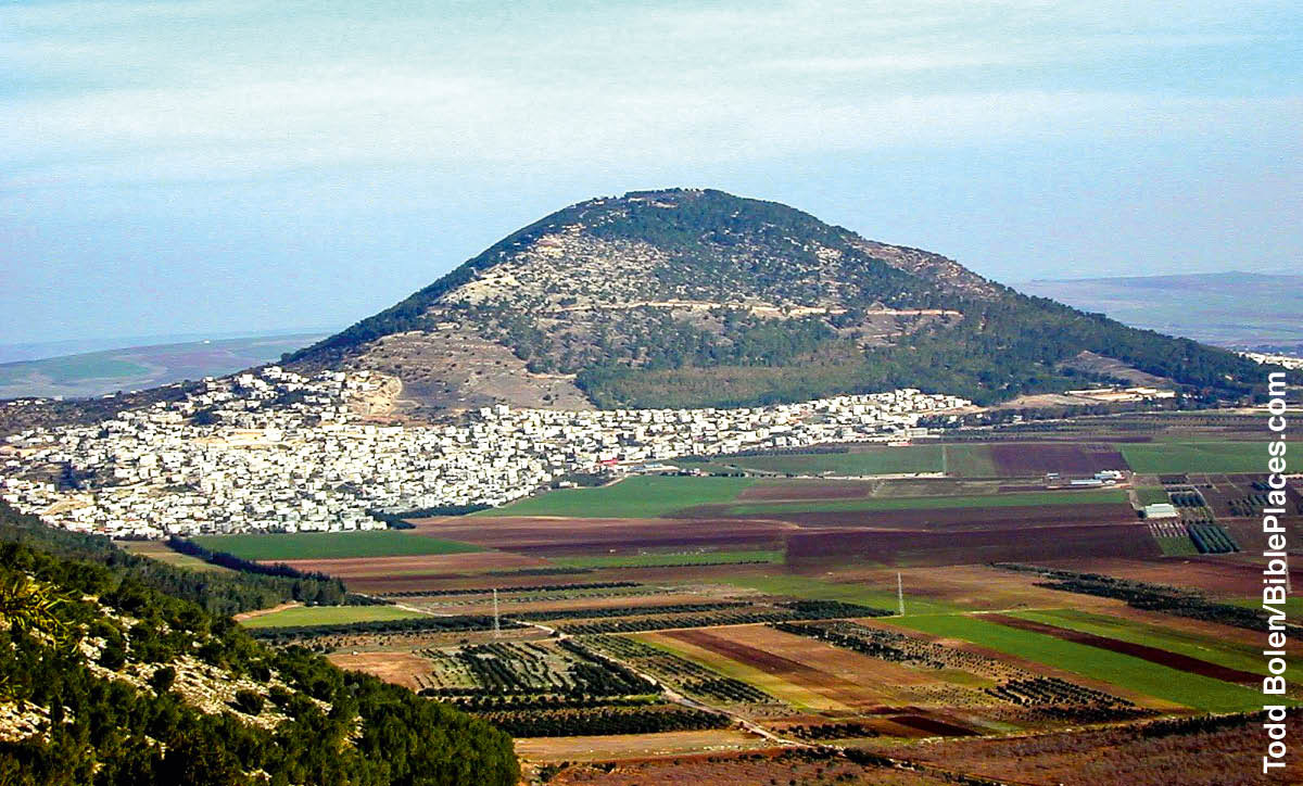 [Εικόνα στη σελίδα 334]