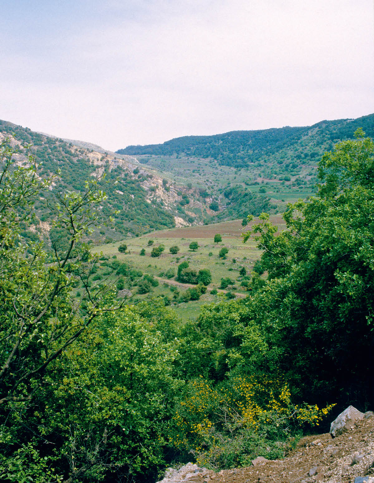 [Εικόνα στη σελίδα 335]