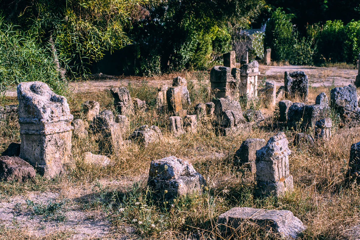 [Εικόνα στη σελίδα 739]