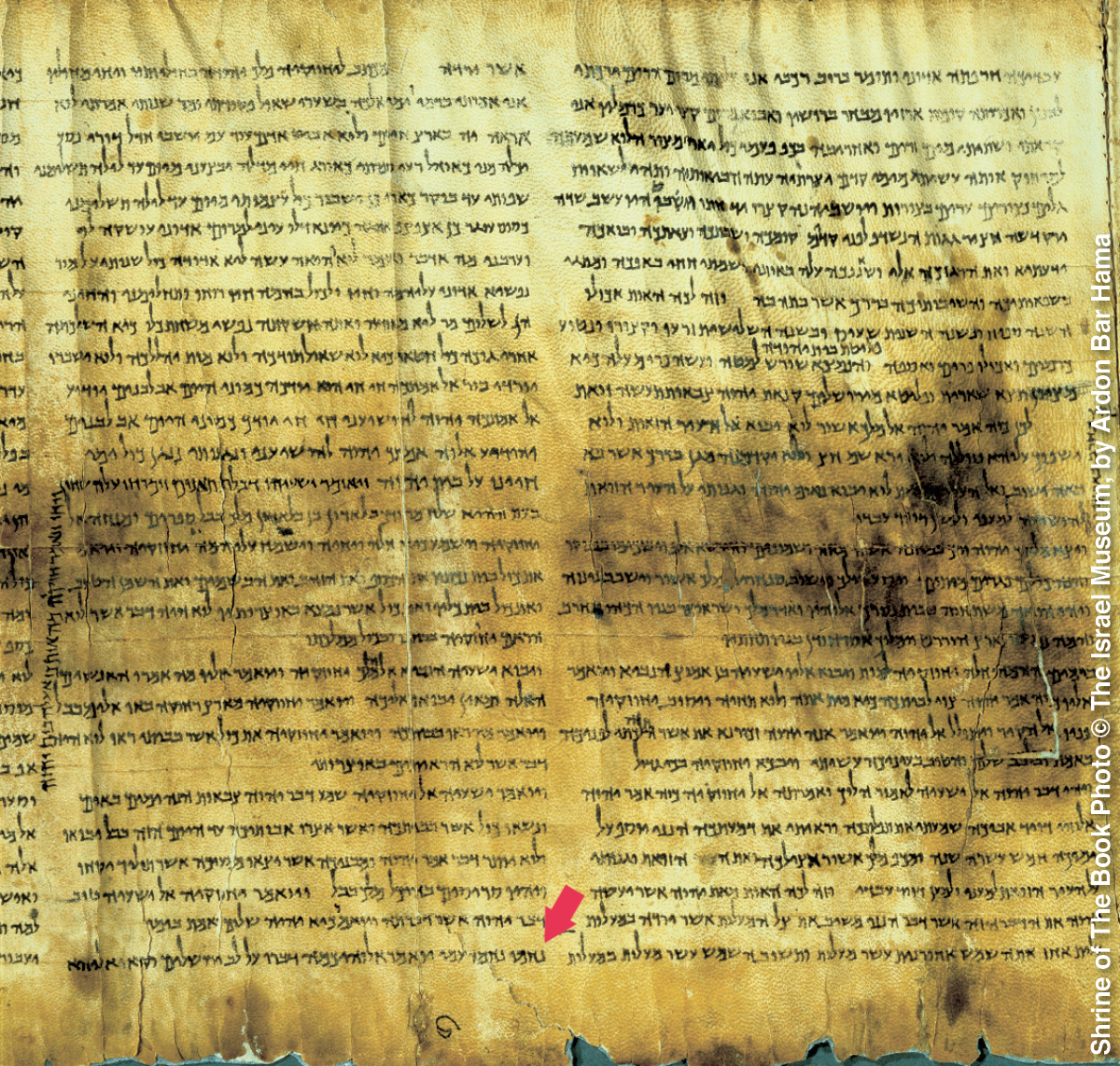 [Εικόνα στη σελίδα 1111]