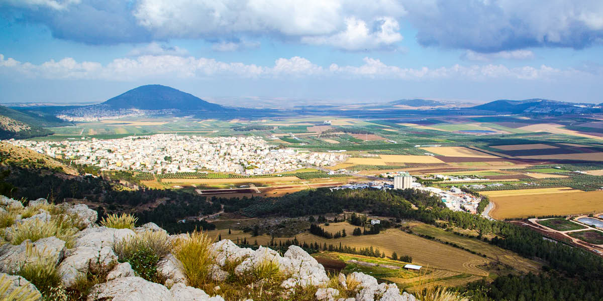 [Εικόνα στη σελίδα 737]