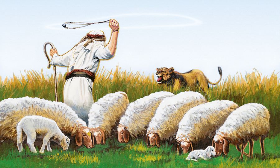 A shepherd protects his sheep from a lion