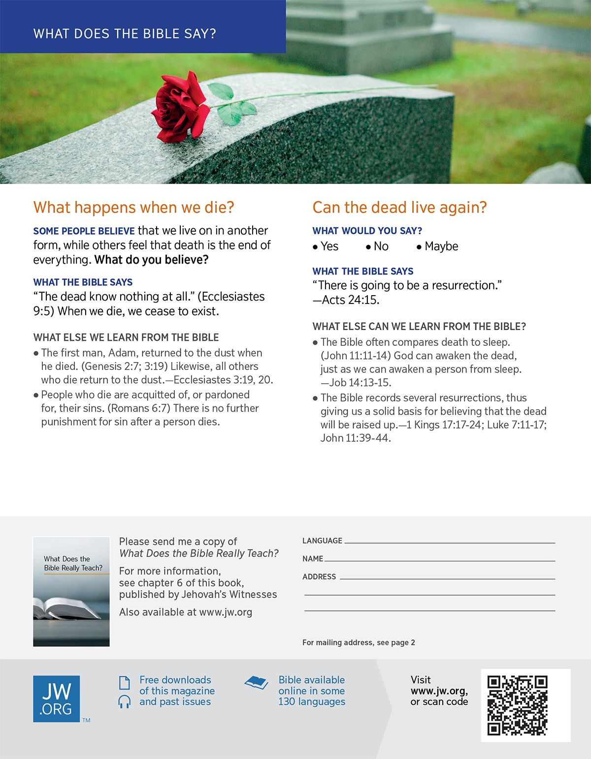 A rose on a tombstone