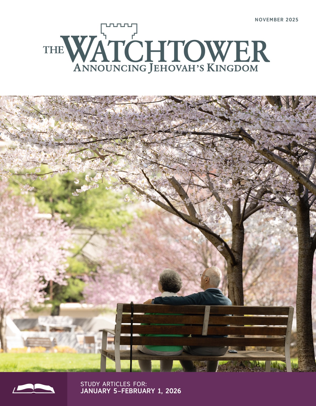 An elderly couple sitting on an outdoor bench, surrounded by blooming cherry blossom trees.