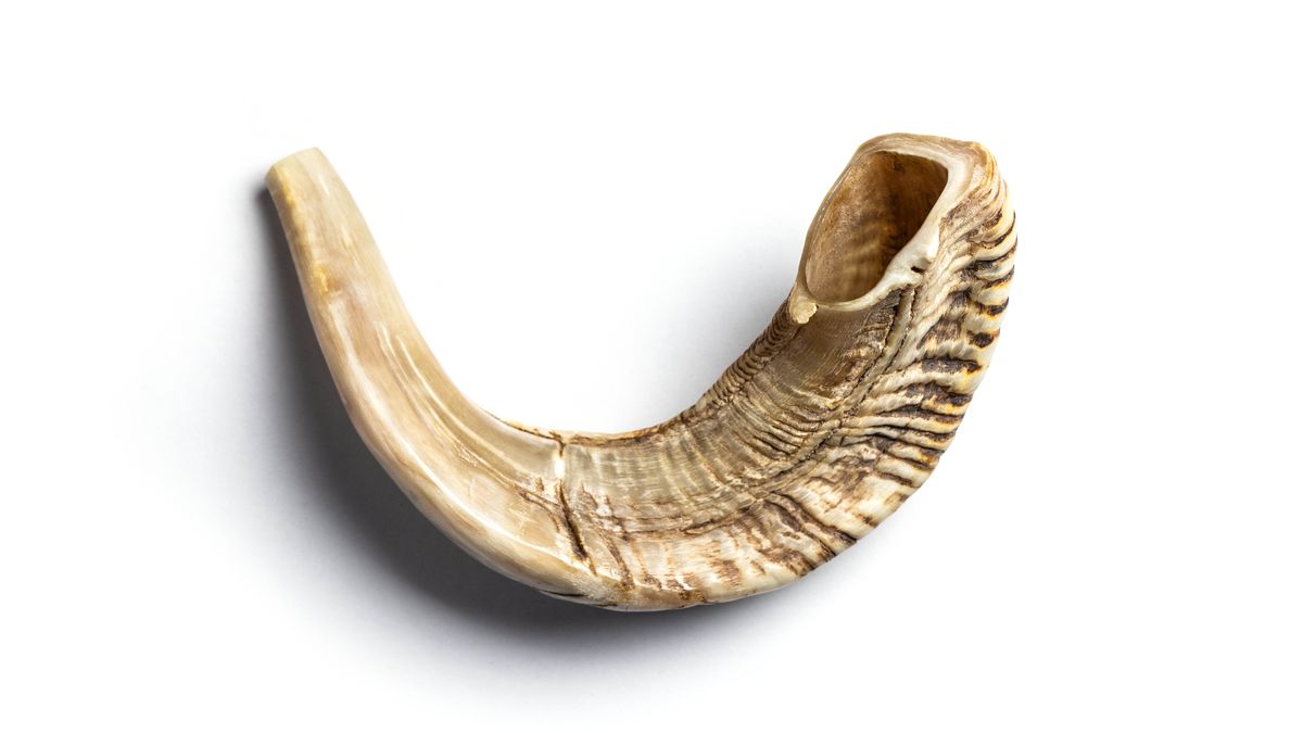 A ram’s horn.