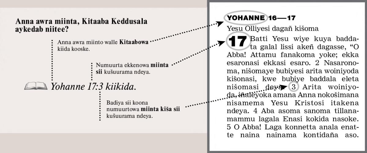 Sample of a scripture reference