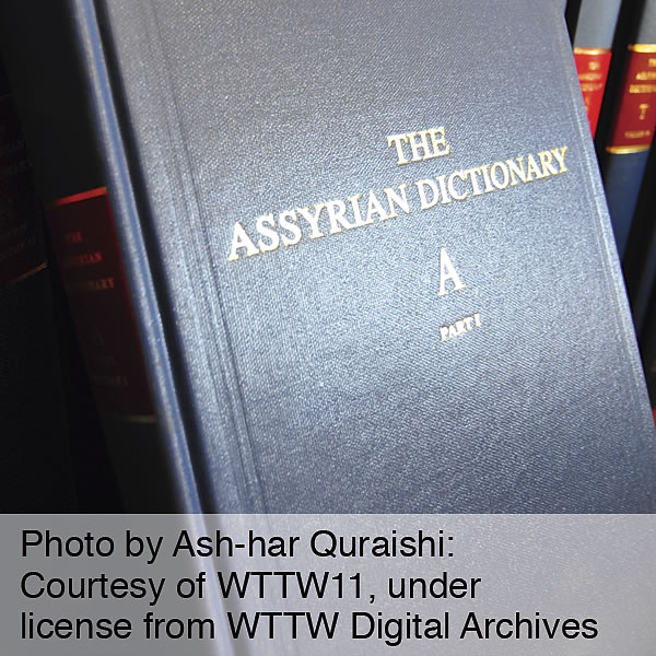 [Ilustración de la página 14]
[Reconocimiento]
Foto de Ash-har Quraishi: gentileza de WTTW11, con permiso de WTTW Digital Archives
