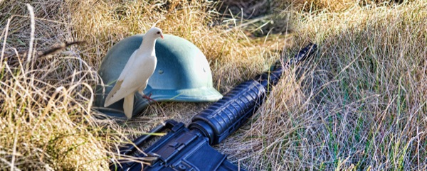 Una paloma, el casco de un soldado y un arma