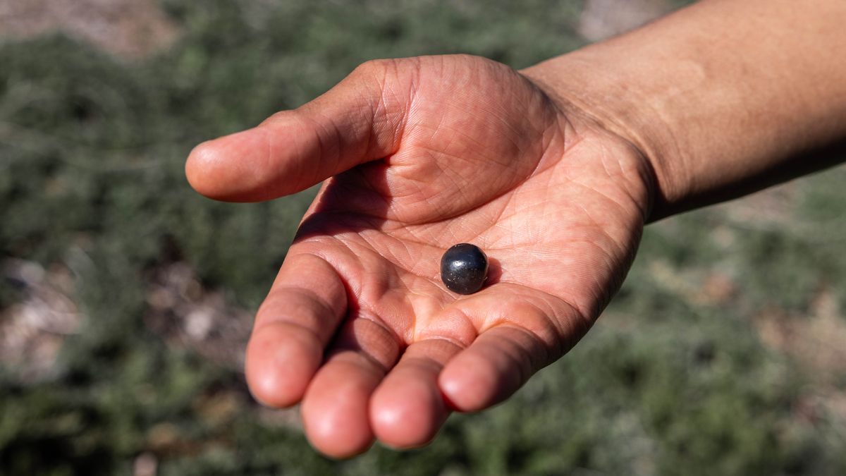 Un pim, una piedra usada como medida de peso, sobre la palma de una mano.