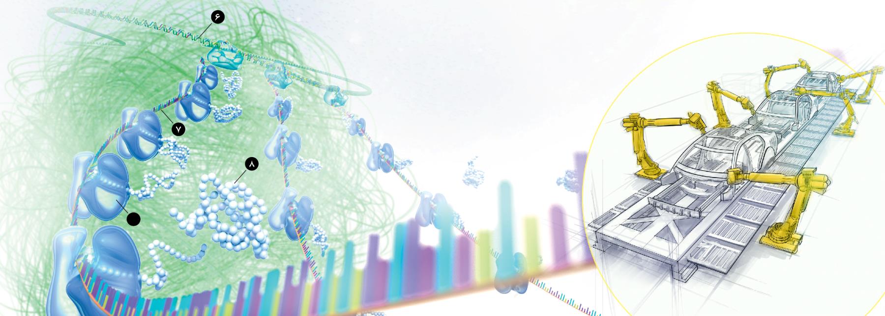 تشبيه سلول به كارخانه