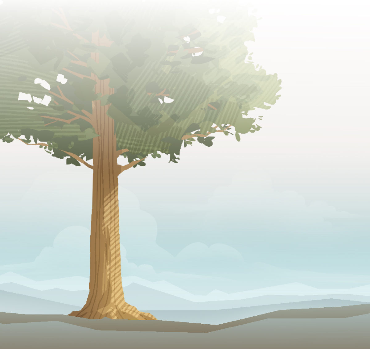 درختی بسیار بلند.‏