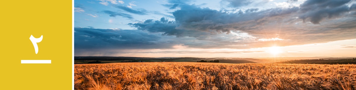 درس ۲.‏ مزرعهٔ گندم هنگام طلوع آفتاب