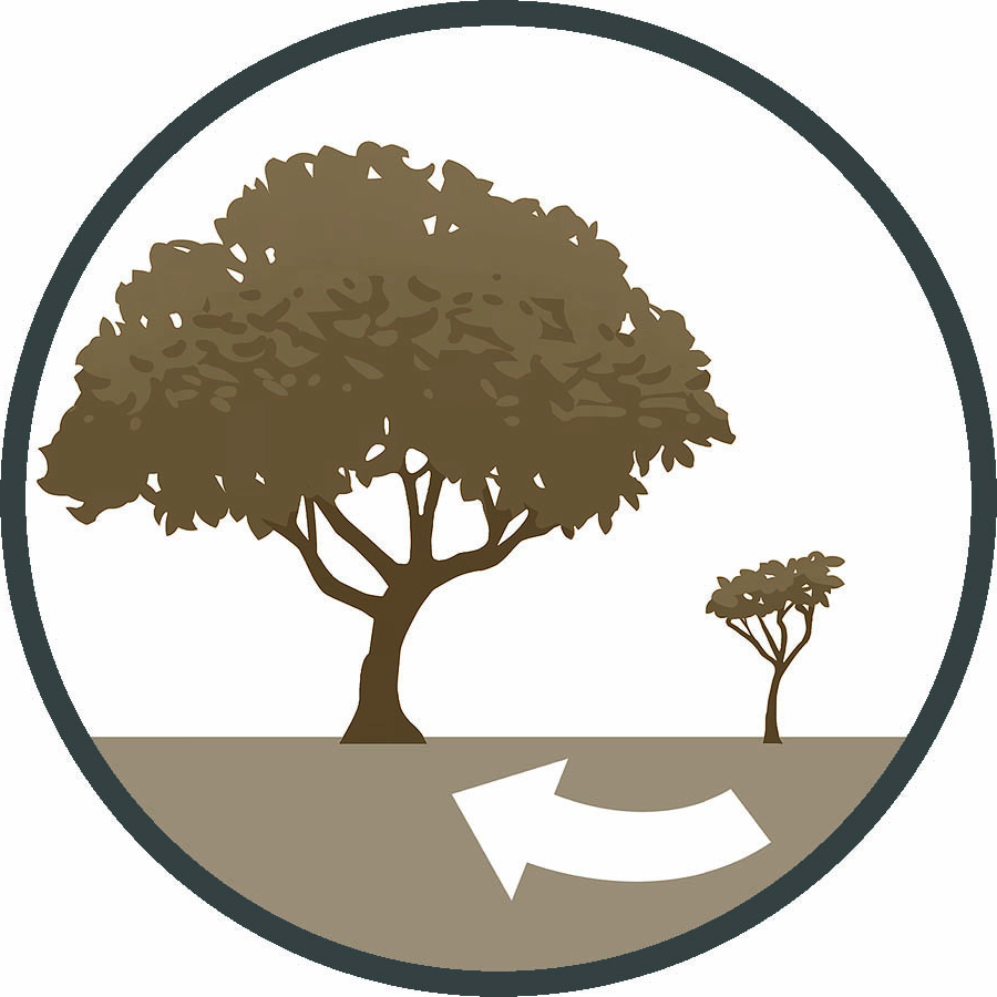 ازخودگذشتگی‌های بابليان شامل ۱۳ سال محاصرهٔ صور بود