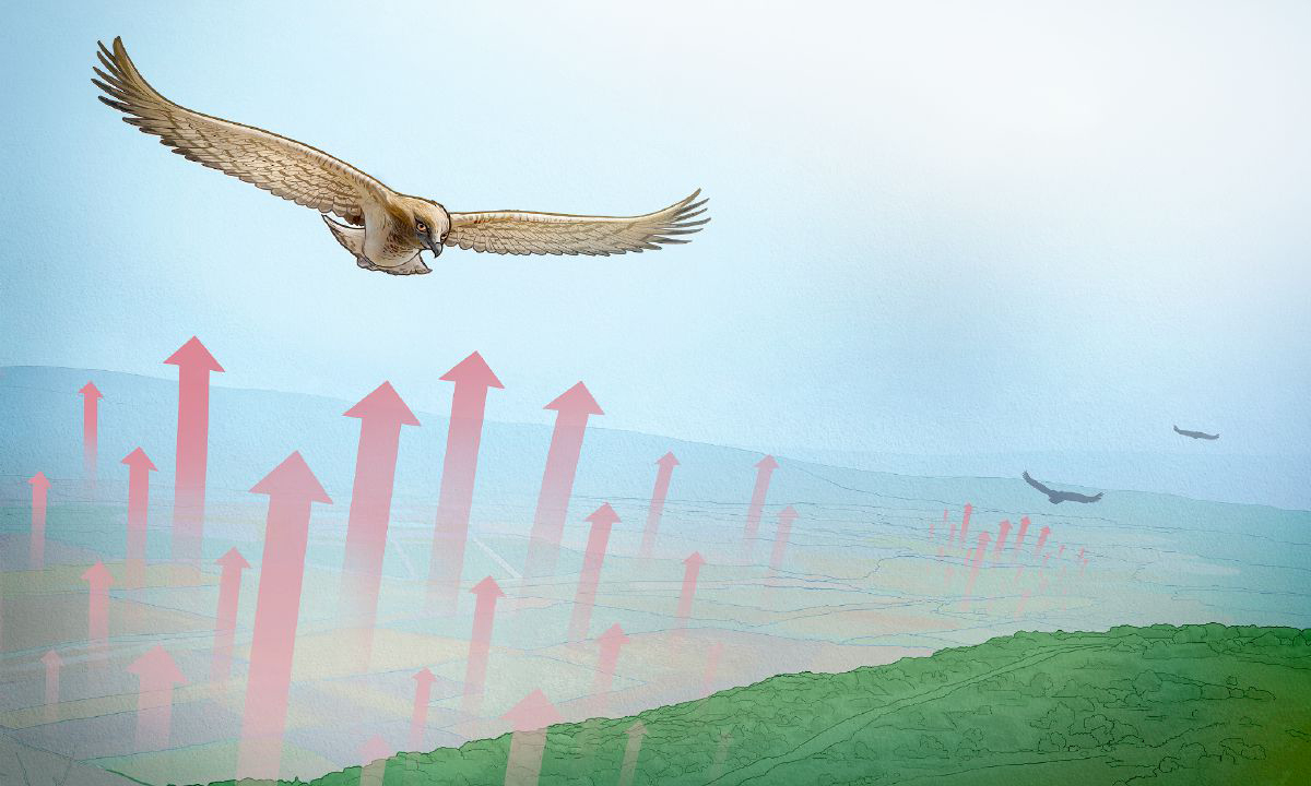 عقاب با كمک ستون‌های هوای گرم در بلندی‌ها پرواز می‌كند