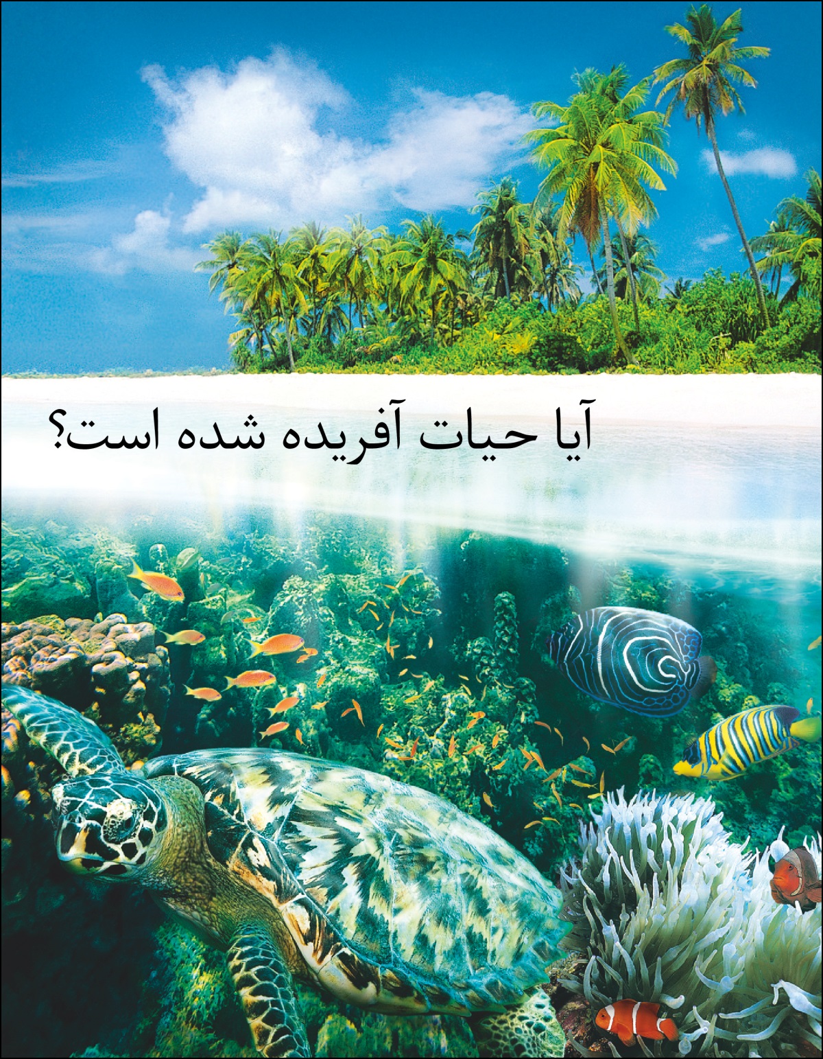 بروشور «آیا حیات آفریده شده است؟‏»‏