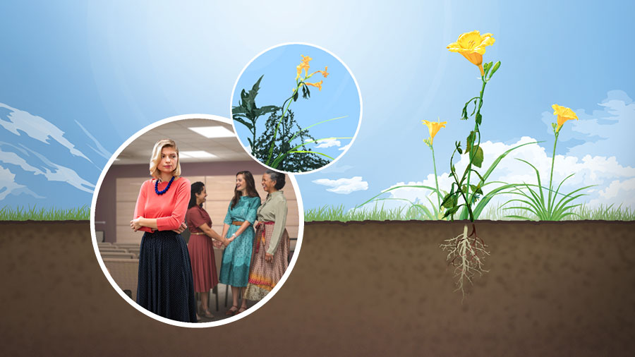 مجموعه‌ای از تصاوير:‏ ۱)‏ گلی سرسبز كه در خاكی مرغوب ريشه گرفته است.‏ ۲)‏ علف‌های هرز و سمی آن گل را خفه كرده‌اند.‏ ۳)‏ سه خواهر در سالن جماعت با چهره‌های خندان با يكديگر صحبت می‌كنند،‏ در حالی كه خواهری ديگر كه ظاهراً ناراحت است تنها ايستاده است.‏