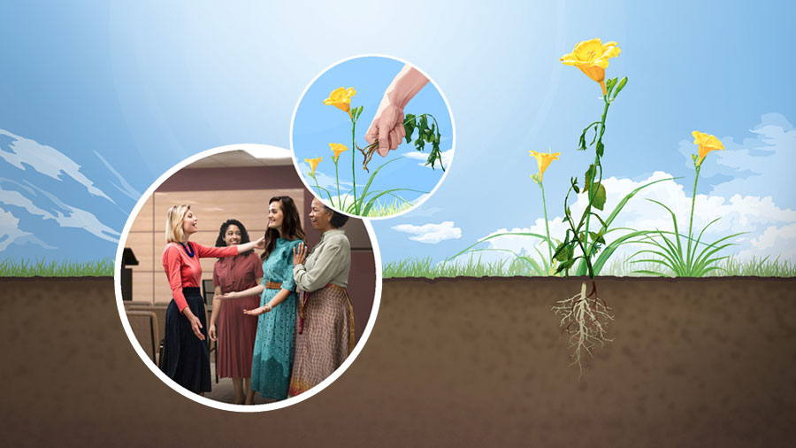 مجموعه‌ای از تصاوير:‏ ۱)‏ گلی سرسبز كه در خاكی مرغوب ريشه گرفته است.‏ ۲)‏ شخصی علف‌های هرز و سمی را از آن گل جدا می‌كند.‏ ۳)‏ چهار خواهر در سالن جماعت با چهره‌های خندان با يكديگر صحبت می‌كنند.‏