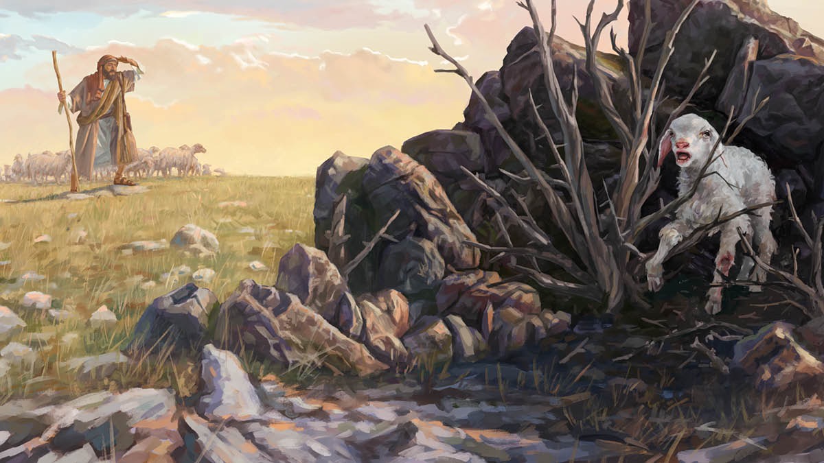 شبانی در كنار گله‌اش ايستاده و برای يافتن برّهٔ گم‌شده‌اش به اطراف نگاه می‌كند.‏ برّهٔ گم‌شده در بوته‌ای گير افتاده و پايش زخمی شده است و از ديد شبان پنهان است.‏