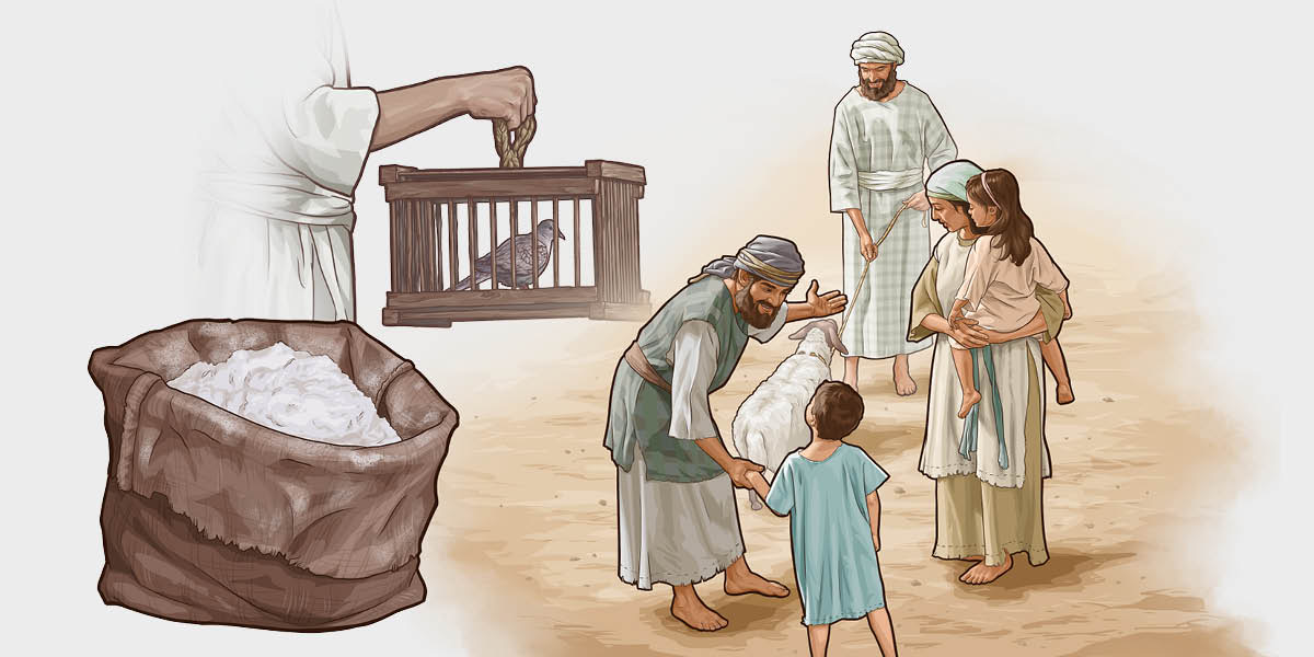 Série d’images : Jéhovah accepte des Israélites différents types de sacrifices. 1) De la farine fine. 2) Une tourterelle. 3) Un mouton est apporté par une famille à un prêtre.