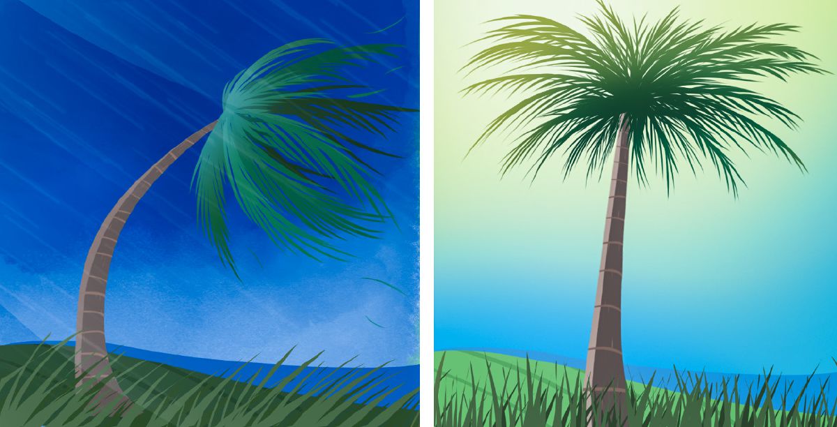 1. Palmu taipuu tuulessa. 2. Palmu on noussut pystyyn myrskyn laannuttua.