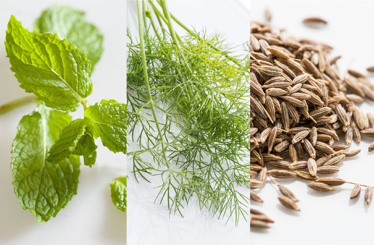 Minttu, tilli ja kumina