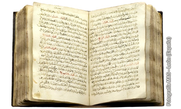 Evankeliumien arabiankielinen käännös avattuna