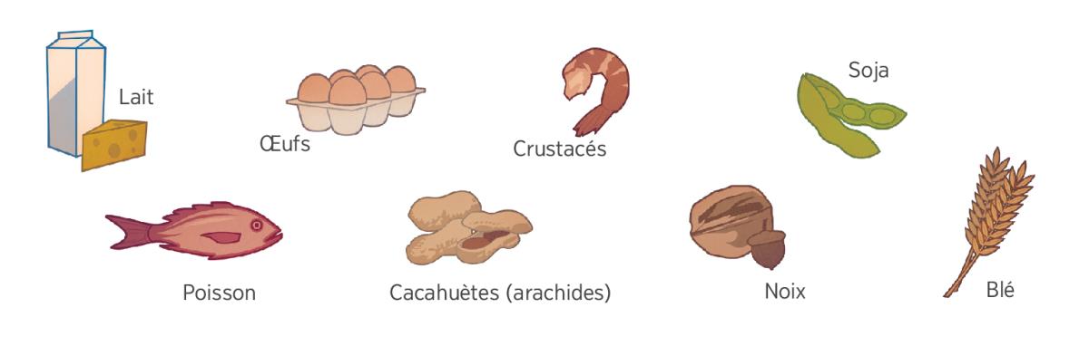 Lait, œufs, crustacés, soja, poisson, cacahuètes (ou arachides), noix et blé