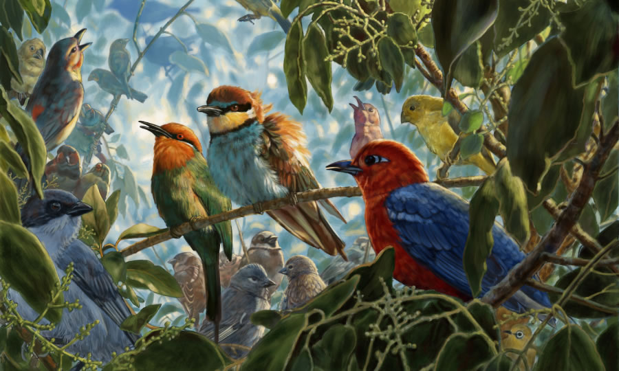 Divers oiseaux dans un arbre