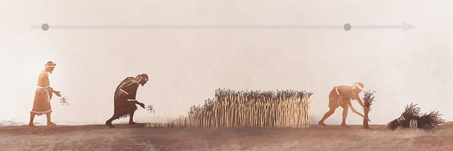 Ana kaikonaki Iesu ae te uita ao te titania