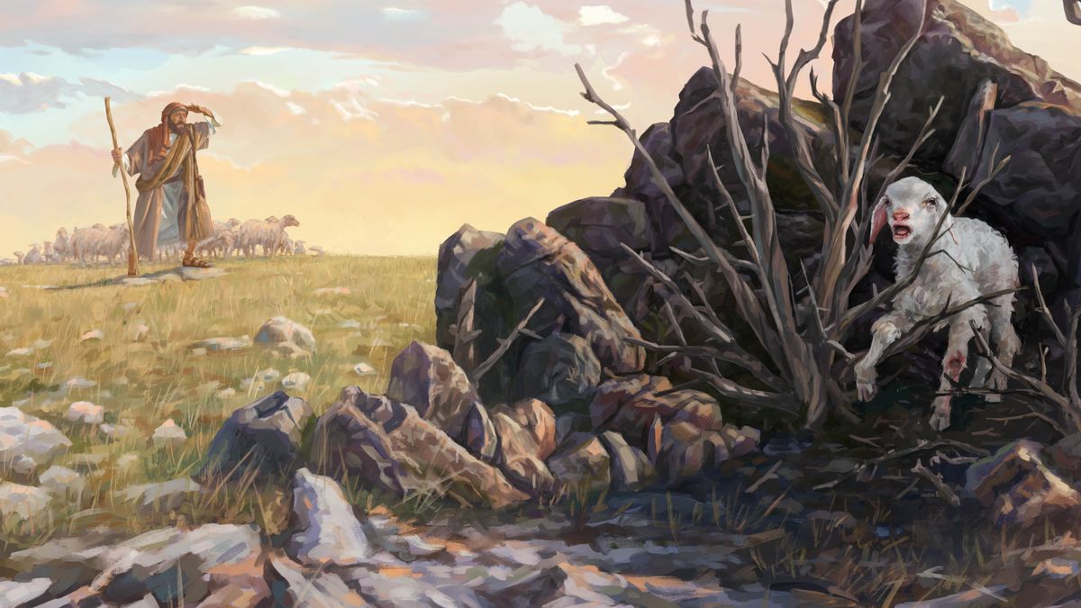 Te tia kawakintiibu ma ana nanai, ae ukoukora te tiibu ae bua. E bae te tiibu aei n te buakonikai ao e a ikoaki waena.