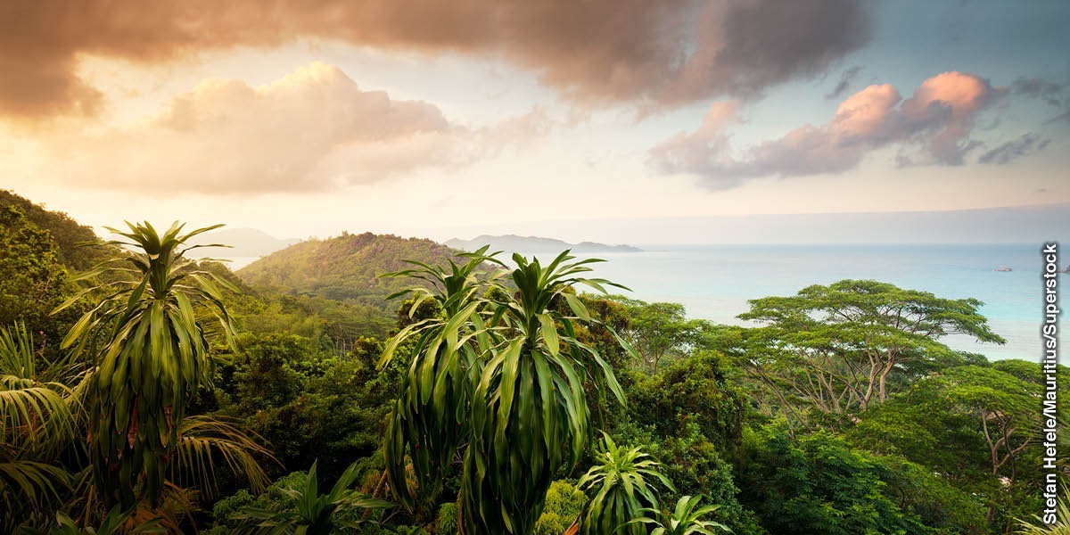 Praslin ae atimwakoron Seychelles