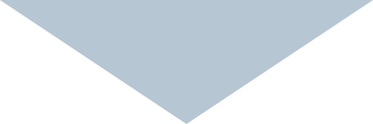 Sokol arrow